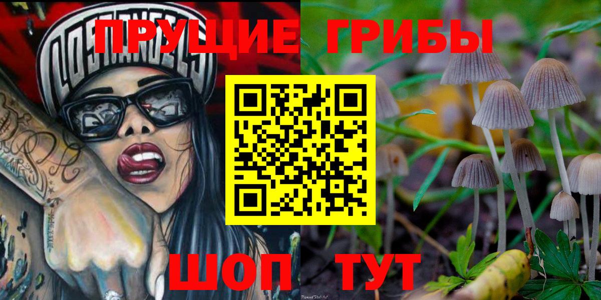 Галлюциногенные грибы мицелий  Вход с VPN  Артём 