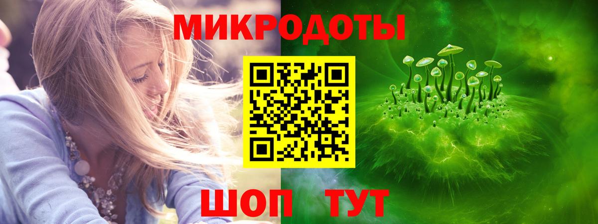 Галлюциногенные грибы Psilocybine cubensis Артём